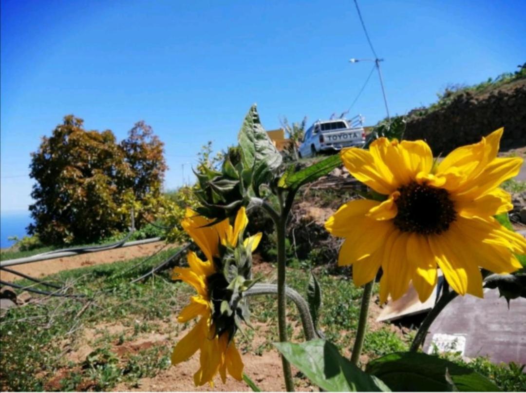 Fasnia Refugio Secreto De Green Village מראה חיצוני תמונה